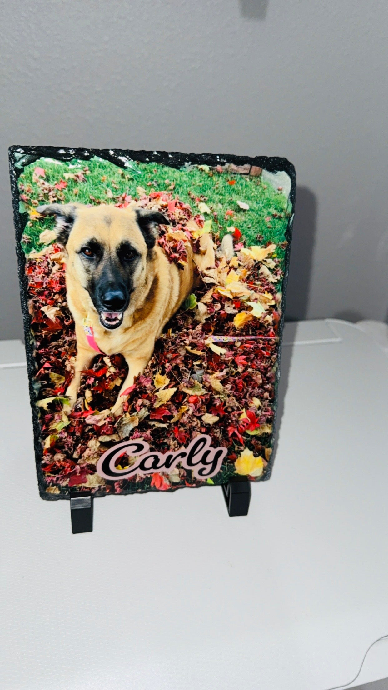 Photo Slates (Customized)